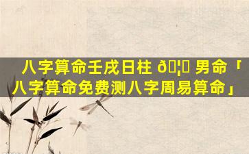 八字算命壬戌日柱 🦍 男命「八字算命免费测八字周易算命」